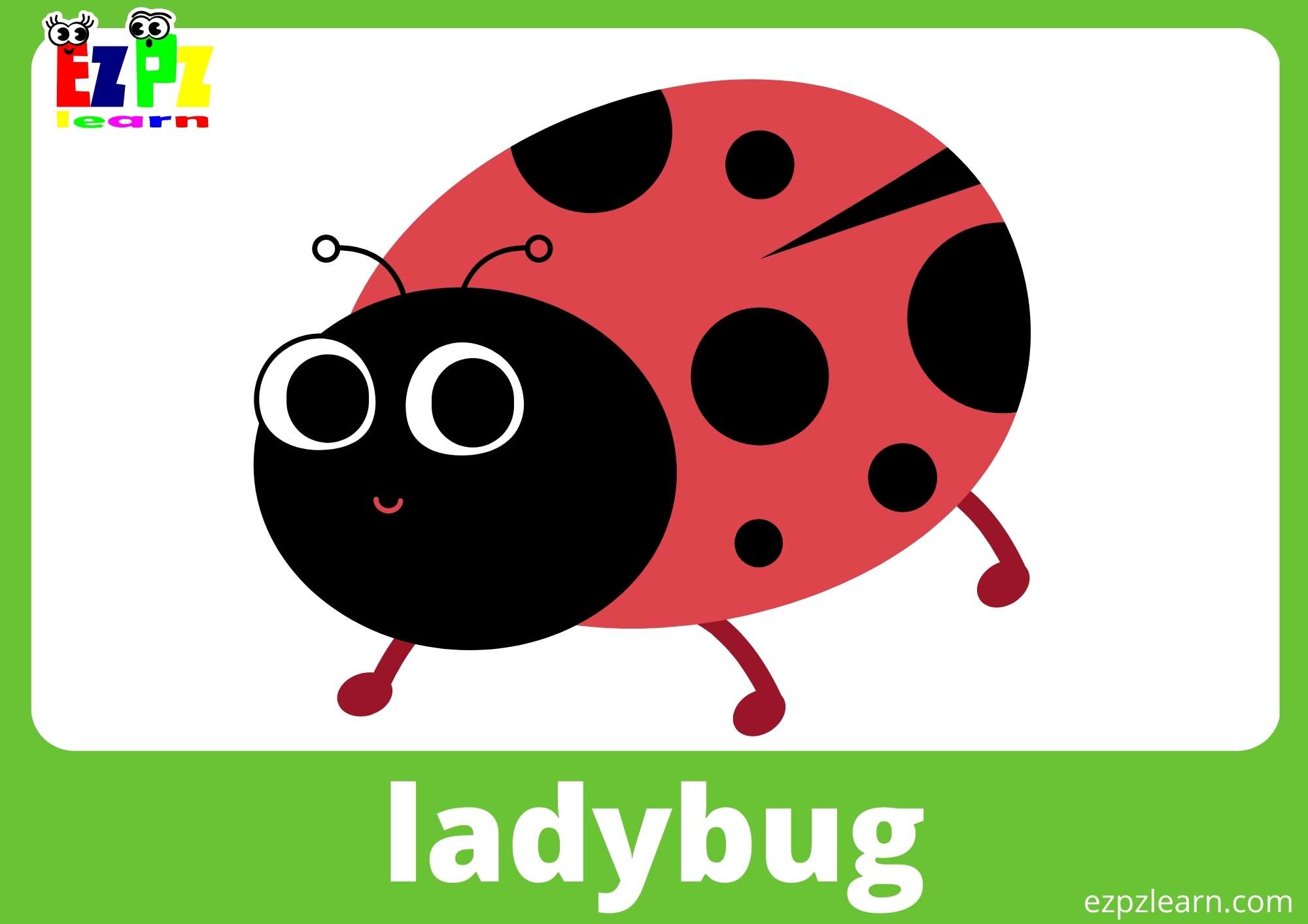 Ladybug